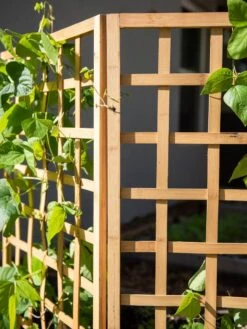 Bamboo Zig-Zag Trellis 24" X 36" -Garden Pro Shop 8613151 6491