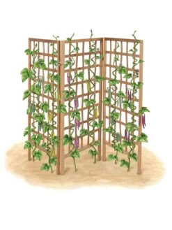 Bamboo Zig-Zag Trellis 24" X 36" -Garden Pro Shop 8613151 art flat