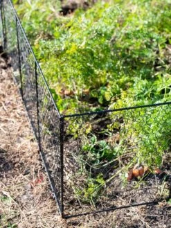 Chicken Wire Critter Fence, 16" High -Garden Pro Shop 8613249 0309