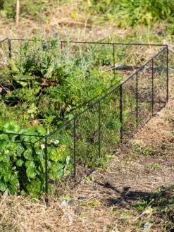 Chicken Wire Critter Fence, 16" High -Garden Pro Shop 8613249 0336