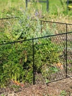 Chicken Wire Critter Fence, 16" High -Garden Pro Shop 8613249 0352