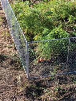 Chicken Wire Critter Fence, 16" High -Garden Pro Shop 8613249 0358