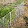 Chicken Wire Critter Fence, 16" High -Garden Pro Shop 8613249 0368 chicken wire critter fence 16 inches high