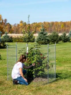 Tall Chicken Wire Critter Fence Extension Panel, Set Of 2 21 Tall Chicken Wire Critter Fence Extension Panel, Set Of 2 -Garden Pro Shop 8613260 0044 1