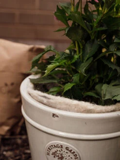 Hortiwool ®, 5 Pad Pack -Garden Pro Shop 8613263 17v