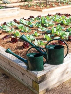 Long Reach Watering Can, Large -Garden Pro Shop 8613346 0148 1