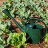 Long Reach Watering Can, Large -Garden Pro Shop 8613346 0149