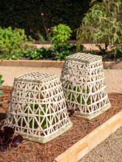 Bamboo Cloche, Set Of 2 -Garden Pro Shop 8613351 0150 bamboo cloche set of 2