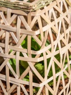 Bamboo Cloche, Set Of 2 -Garden Pro Shop 8613351 0153