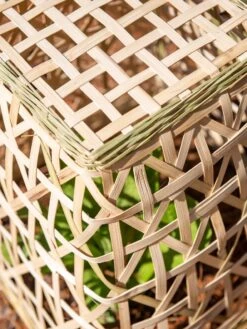 Bamboo Cloche, Set Of 2 -Garden Pro Shop 8613351 0154