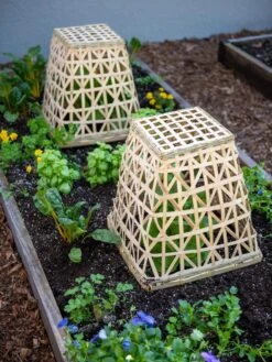 Bamboo Cloche, Set Of 2 -Garden Pro Shop 8613351 6766