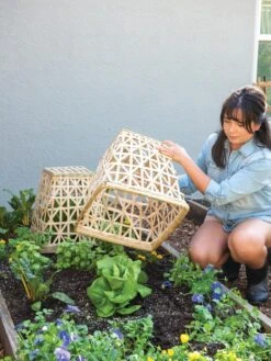 Bamboo Cloche, Set Of 2 -Garden Pro Shop 8613351 6862