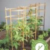 Bamboo Tomato Cages, Set Of 3 -Garden Pro Shop 8613426 7