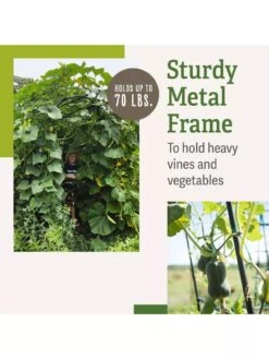 Titan Squash Tunnel -Garden Pro Shop B07932DMCR plantsupport benefits 2