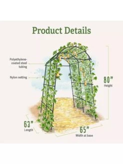 Titan Squash Tunnel -Garden Pro Shop B07932DMCR plantsupport product details