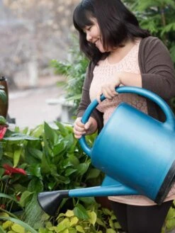 French Blue Watering Can -Garden Pro Shop EmilyHoangSquare 0151 tif