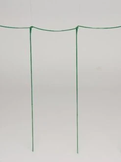 Curved Linking Stakes -Garden Pro Shop GS35241 04S tif