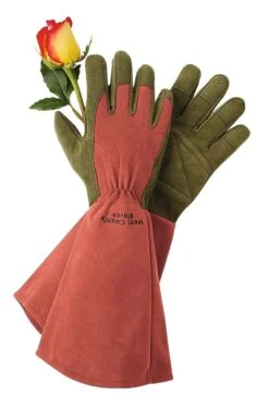 Rose Gloves -Garden Pro Shop GS36874 01Z tif