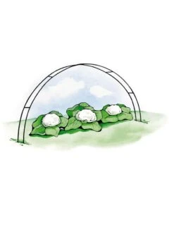 Super Hoops, Set Of 6 -Garden Pro Shop GS39423 02S 3 4