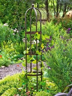 Jardin Bird Cage Support, 26" 10 Jardin Bird Cage Support, 26" -Garden Pro Shop GS39529 01 tif