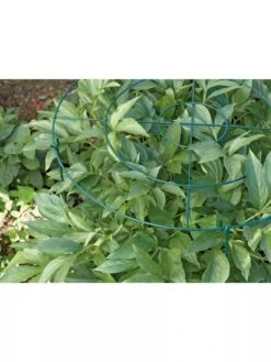 Grow Through Supports, Set Of 3 -Garden Pro Shop GS40172 01 1