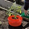 Tomato Halos, Set Of 3 -Garden Pro Shop GS40357 01 tif