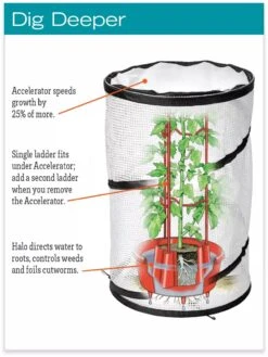 Tomato TLC Kits, Set Of 3 -Garden Pro Shop hiw 8594214 jpg